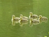 ChateauBreteuil_08