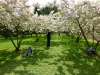 ChateauBreteuil_15