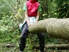 Automne_foret_21