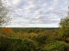 Automne_foret_27