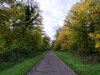 Automne_foret_28