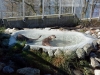 Image00002