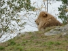_DSC2575_DxO
