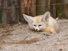 _DSC2578_DxO