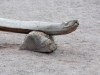 _DSC2589_DxO