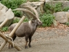 _DSC2626_DxO