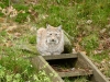 _DSC2715_DxO