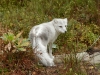 _DSC2738_DxO