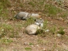 _DSC2739_DxO