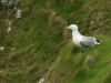 20140413_Etretat_05