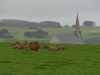 20140413_Etretat_07