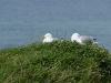 20140413_Etretat_15
