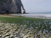 20140413_Etretat_43