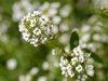 20140316_Harcourt_03