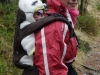 2016-12-29_Jorpenland2_011