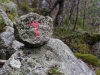 2016-12-29_Jorpenland2_018