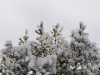 Neige16