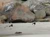 Plage14
