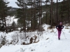 2018-03-03_09-02-40_A TRIER_005